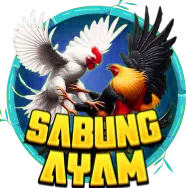sabung ayam